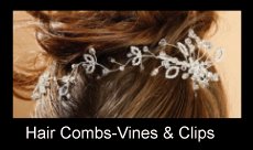 Hair Combs-Vines & Clips